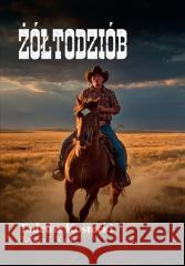 Żółtodziób Krystyn T. Wand (Tadeusz Kostecki) 9788375657555