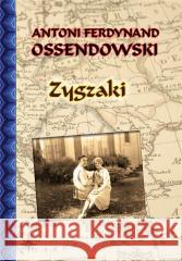 Zygzaki Antoni Ferdynand Ossendowski 9788375657739