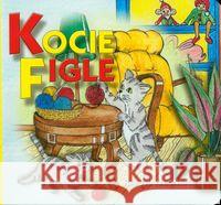 Klasyka Wierszyka - Kocie figle  LIWONA Wejner Rafał 9788375702125 Liwona