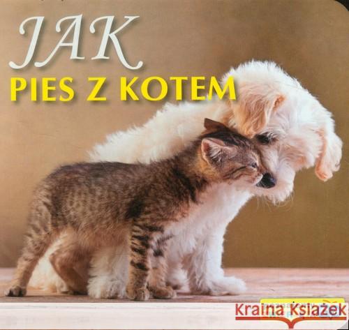 Poznajemy zwierzęta - Jak pies z kotem  9788375703238 Liwona