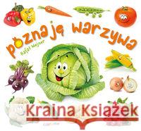 Maluszek poznaje świat. Poznaję warzywa Wejner Rafał 9788375703900 Liwona
