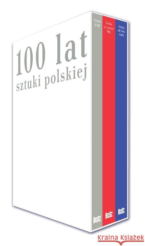 100 lat sztuki polskiej - komplet w etui Krzysztofowicz-Kozakowska Stefania 9788375765199 Bosz