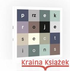 Przekroje praca zbiorowa 9788375813999