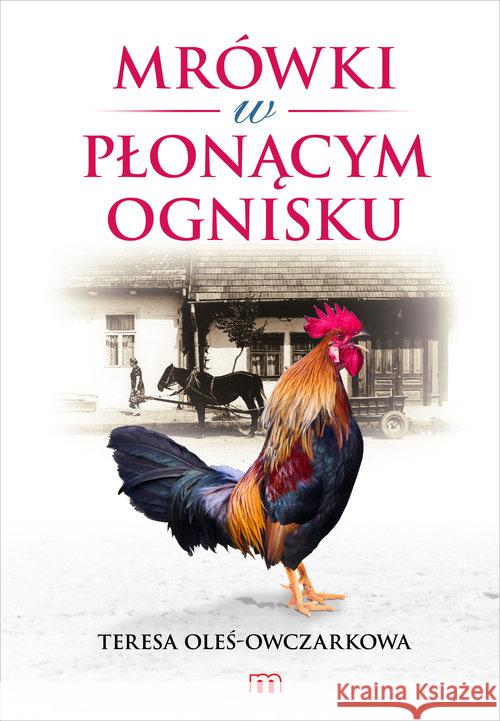 Mrówki w płonącym ognisku Oleś-Owczarkowa Teresa 9788375956177 M