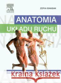 Anatomia układu ruchu Ignasiak Zofia 9788376099125 Urban & Partner