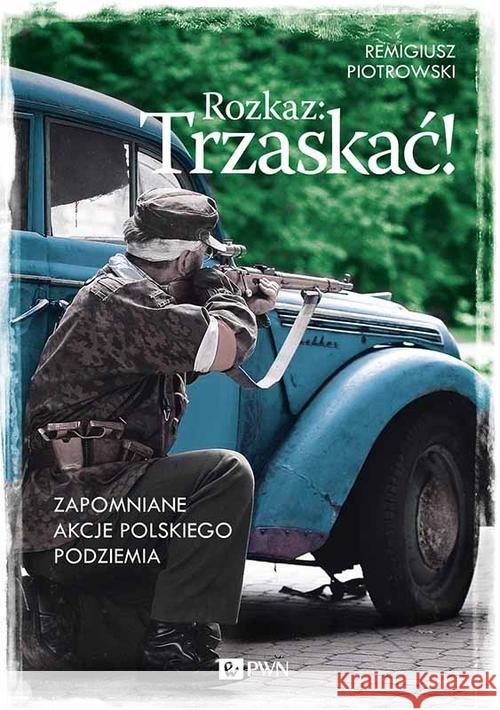 Zapomniane akcje polskiego podziemia Piotrowski Remigiusz 9788377058572 Dom Wydawniczy PWN