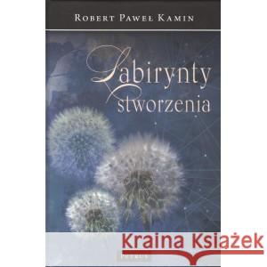 Labirynt stworzenia KAMIN ROBERT PAWEŁ 9788377205150