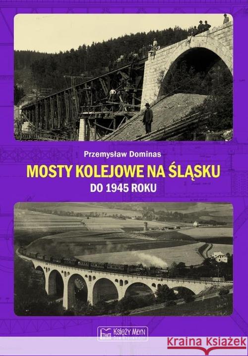 Mosty kolejowe na Śląsku do 1945 roku Dominas Przemysław 9788377294215 Księży Młyn