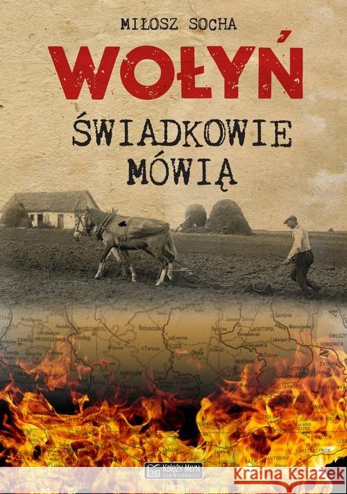 Wołyń. Świadkowie mówią Socha Miłosz 9788377294802 Księży Młyn