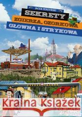 Sekrety Zgierza, Ozorkowa, Głowna i Strykowa Jacek Perzyński 9788377297025