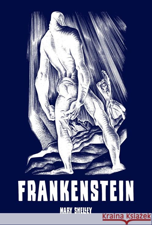 Frankenstein, czyli współczesny Prometeusz BR Shelley Mary 9788377311516 Vesper