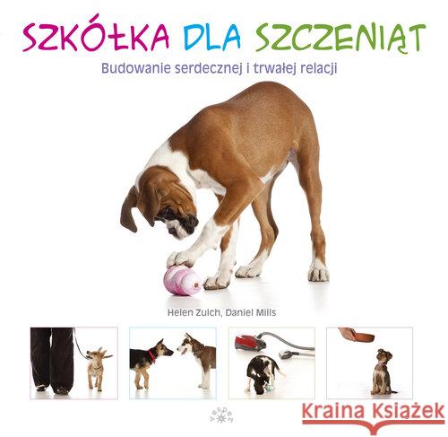 Szkółka dla szczeniąt Zulch Helen Mills Daniel 9788377312827