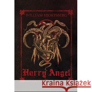 Harry Angel HJORTSBERG WILLIAM, IL. KAMUDA MACIEJ 9788377314135