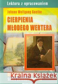 Cierpienia młodego Wertera Ścibek Lidia 9788377381656