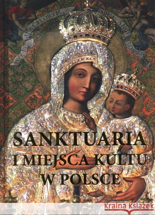 Sanktuaria i miejsca kultu w Polsce Werner Joanna 9788377404102 Arti