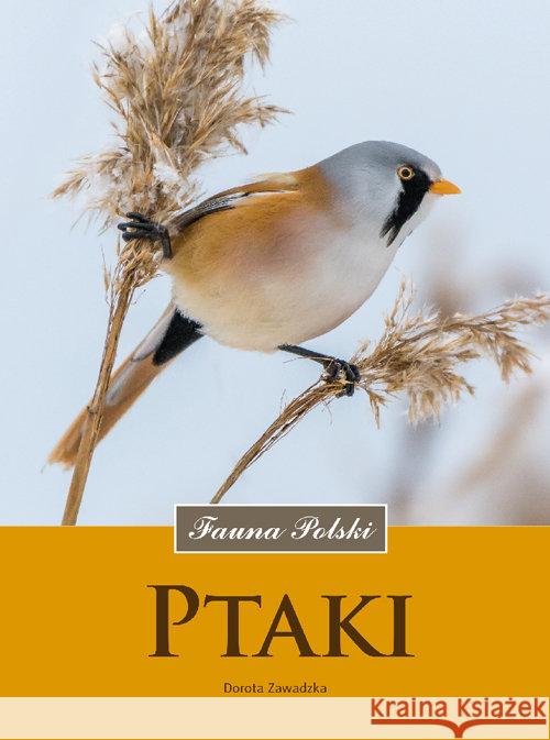 Ptaki. Fauna Polski Zawadzka Dorota 9788377633533 Multico