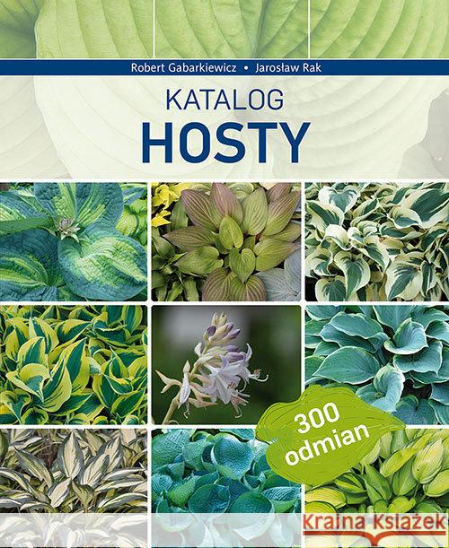 Katalog Hosty Robert Gabarkiewicz Jarosław Rak 9788377633632 Multico