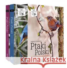 Ptaki Polski T.1-2 Dorota Kozińska 9788377636589