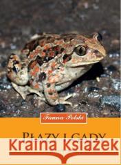 Płazy i gady. Fauna Polski Krzysztof Klimaszewski 9788377636930