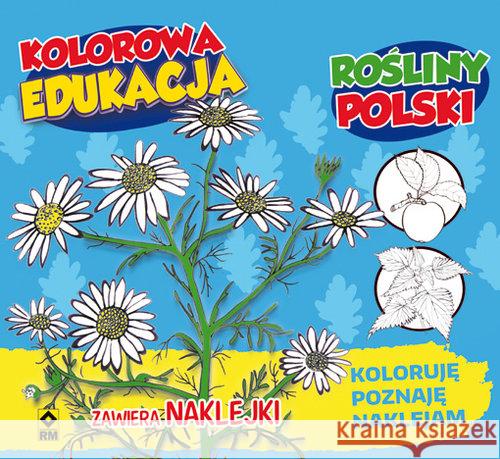 Kolorowa edukacja - Rośliny Polski w.2016  9788377735862 RM