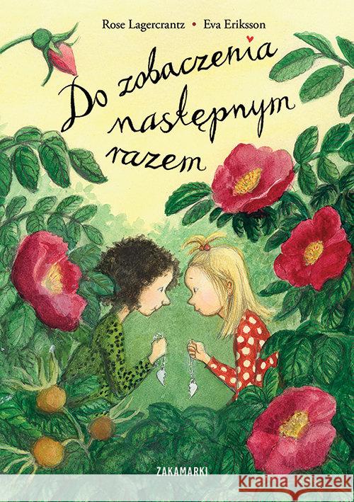 Do zobaczenia następnym razem Lagercrantz Rose 9788377761243 Zakamarki