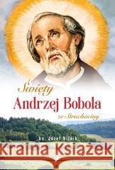 Święty Andrzej Bobola ze Strachociny Józef Niżnik 9788378645757