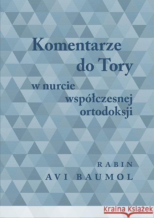 Komentarze do Tory w nurcie współczesnej.. Baumol Avi 9788378660354 Austeria