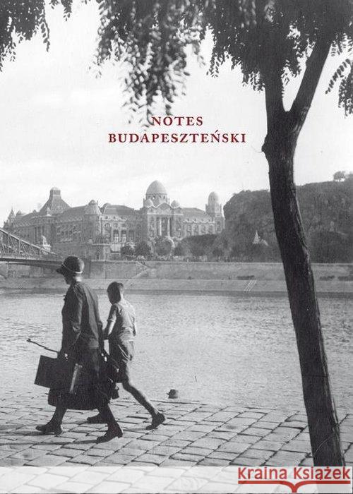 Notes budapeszteński Attila Jozsef Gyula Krudy Ferenc Molnar 9788378660736 Austeria