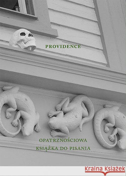 Providence. Opatrznościowa książka do pisania Taborska Agnieszka 9788378661078 Austeria