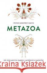 Metazoa. Od szklanych gąbek i morskich smoków... GODFREY-SMITH PETER 9788378866886