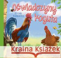 Oświadczyny koguta Kozłowska Urszula 9788379156146 Skrzat