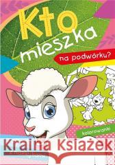 Kto mieszka na podwórku? Stadtmuller Ewa Drabik Wiesław 9788379158010 Skrzat