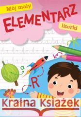 Mój mały Elementarz. Literki Wydawnictwo Skrzat 9788379158683 Skrzat