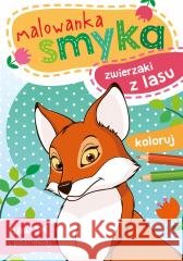 Malowanka smyka. Zwierzaki z lasu Wydawnictwo Skrzat 9788379159062
