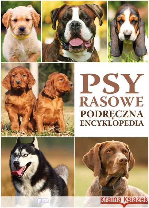 Psy rasowe Podręczna encyklopedia  9788379322428 Fenix