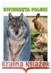 Zwierzęta Polski praca zbiorowa 9788379325658