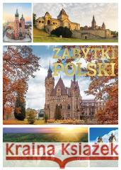 Zabytki Polski Opracowanie Zbiorowe 9788379327270