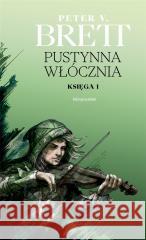 Pustynna włócznia. Księga 1 Peter V. Brett 9788379647194
