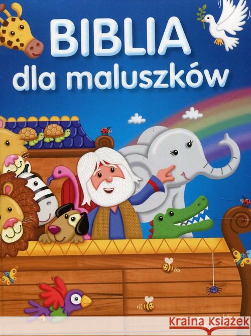 Biblia dla maluszków David Juliet 9788379715268