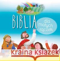 Biblia dla małych rączek JEDNOŚĆ Bethan James Kallai Nagy Krisztina 9788379716302 Jedność