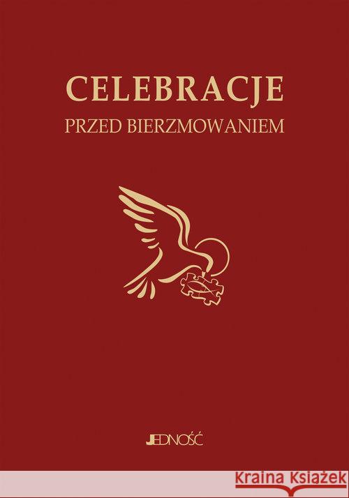 Celebracje przed bierzmowaniem Mielnicki Krzysztof Nosek Bogusław Parszewska Ewelina 9788379718184 Jedność