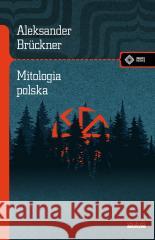 Mitologia polska. Studium porównawcze Aleksander Bruckner 9788379985463