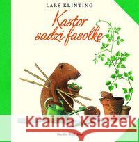 Kastor sadzi fasolkę Klinting Lars 9788380080690 Media Rodzina