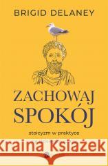 Zachowaj spokój. Stoicyzm w praktyce na dzisiejsze czasy DELANEY BRIGID 9788380329454