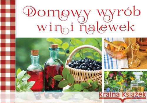 Domowy wybór alkoholi  9788380384880 Arystoteles