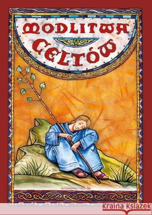 Modlitwa Celtów Krajewska Alina 9788380433113 M