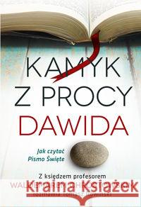 Kamyk z procy Dawida. Jak czytać Pismo Święte? Chrostowski Waldemar Rowiński Tomasz 9788380434370