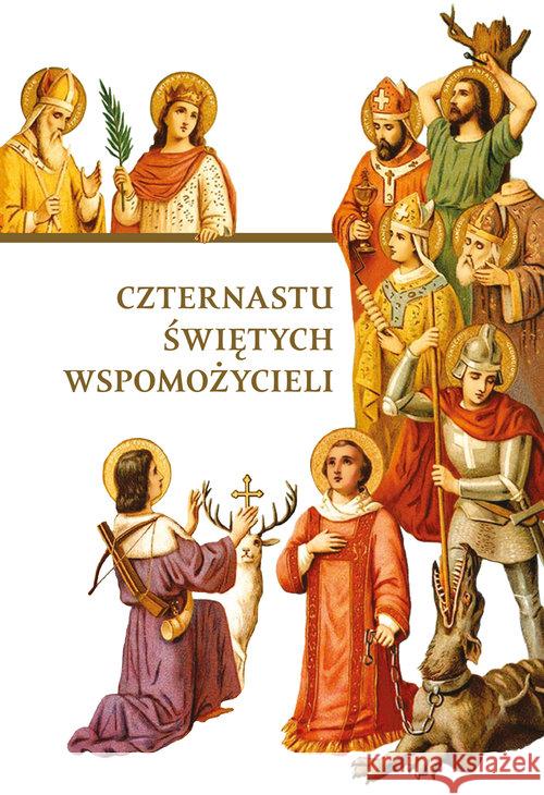 Czternastu Świętych Wspomożycieli Mazur Dorota 9788380435506 M