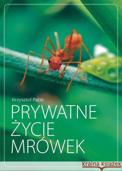 Prywatne życie mrówek Krzysztof Pabis 9788380919662 Ringier Axel Springer