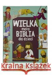 Wielka mała biblia dla dzieci Gavin Scott 9788381015028